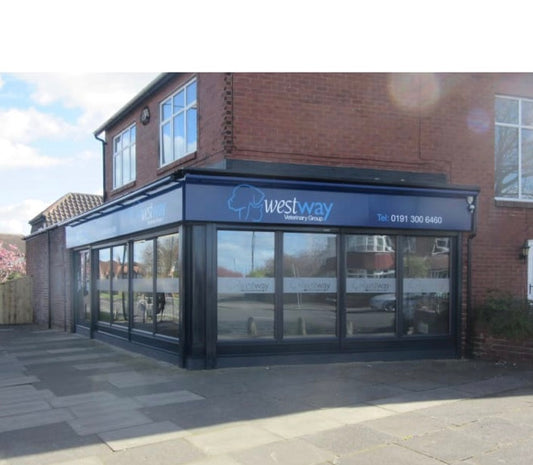 Shop front sign printed sign board